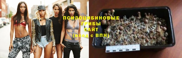 2c-b Белоозёрский