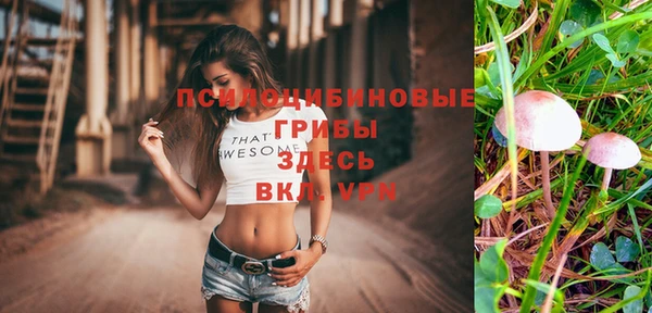 МДПВ Белокуриха