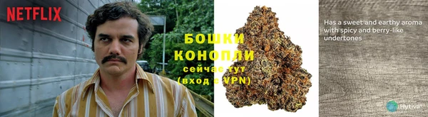 2c-b Белоозёрский